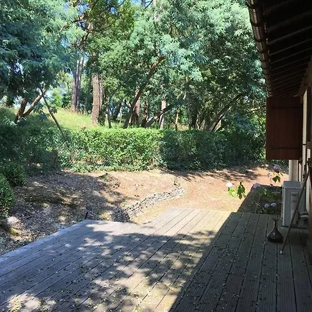 Bouhebe - Maison Sous Les Pins